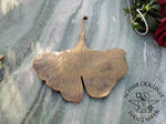 Ginkgoblatt auf Stein